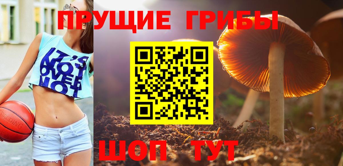 Псилоцибиновые грибы мухоморы Спасск-Дальний