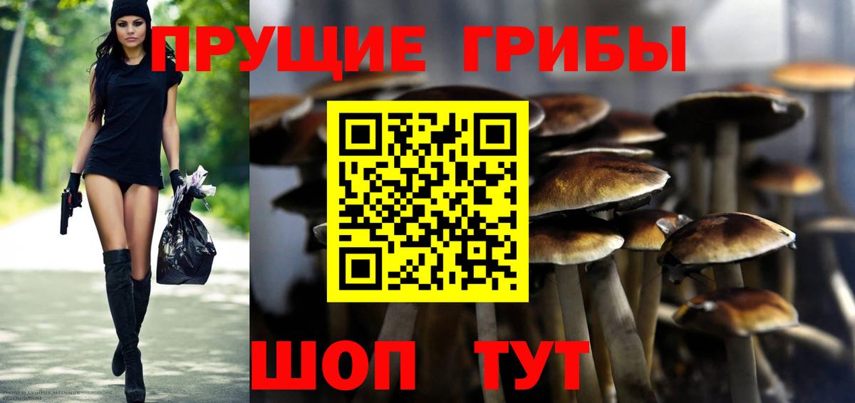 Метадон Спасск-Дальний