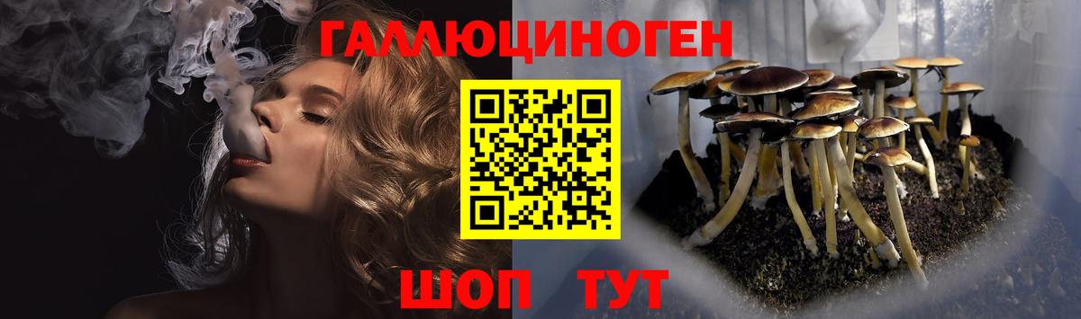 цена наркотик  Псилоцибиновые грибы MAGIC MUSHROOMS  Спасск-Дальний  Вход с VPN  Галлюциногенные грибы Cubensis 